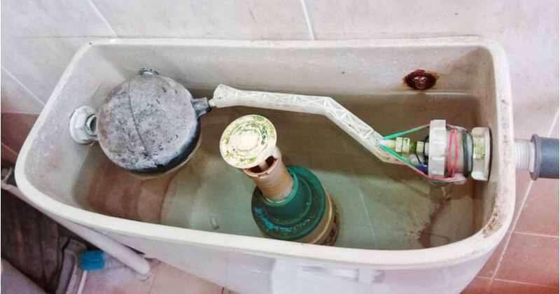 トイレのタンクはカビだらけ 汚れをすっきり落とす簡単な掃除方法をご紹介 ココナラマガジン